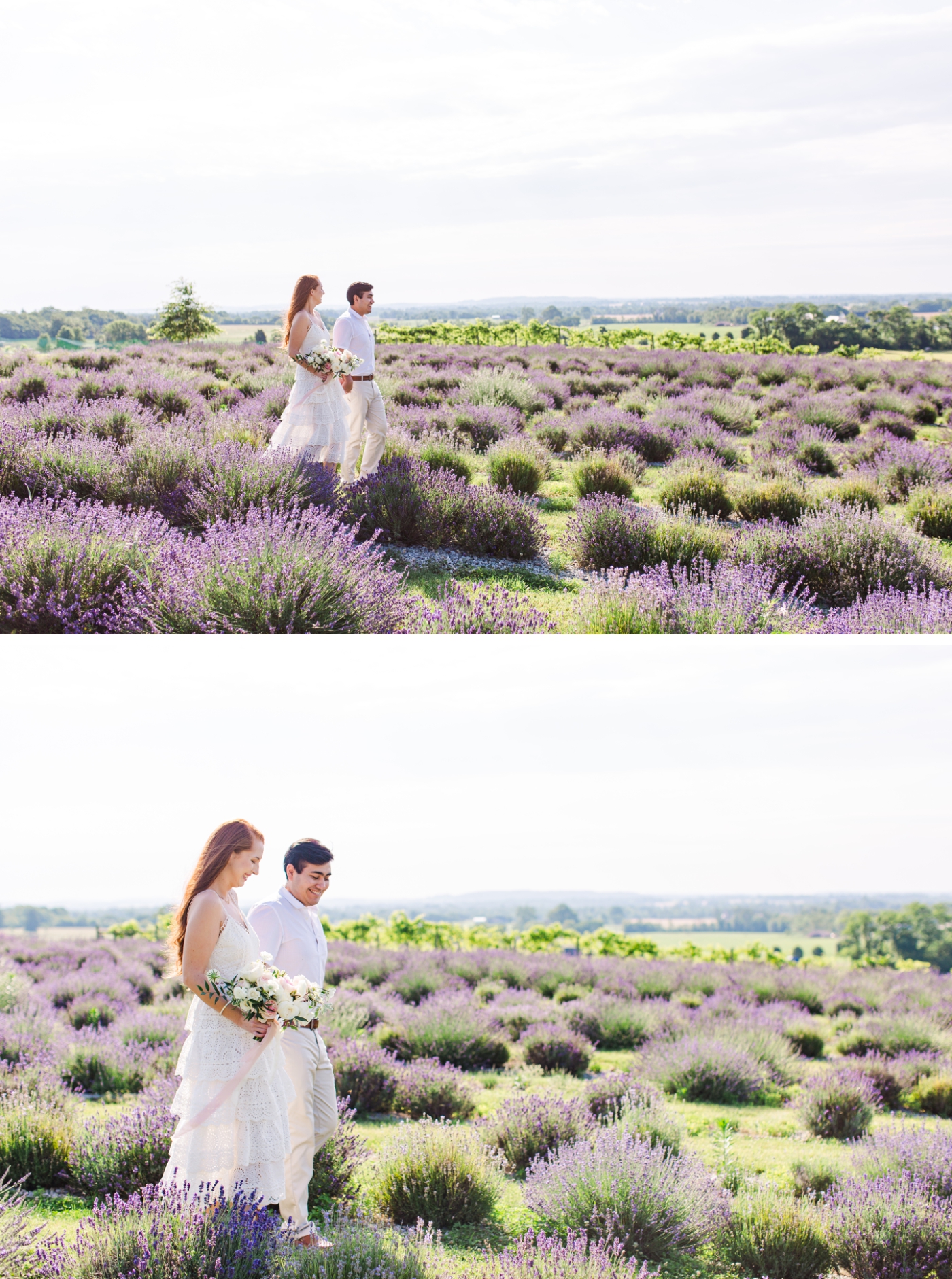 Lavender field engagement session at Springfield Manor