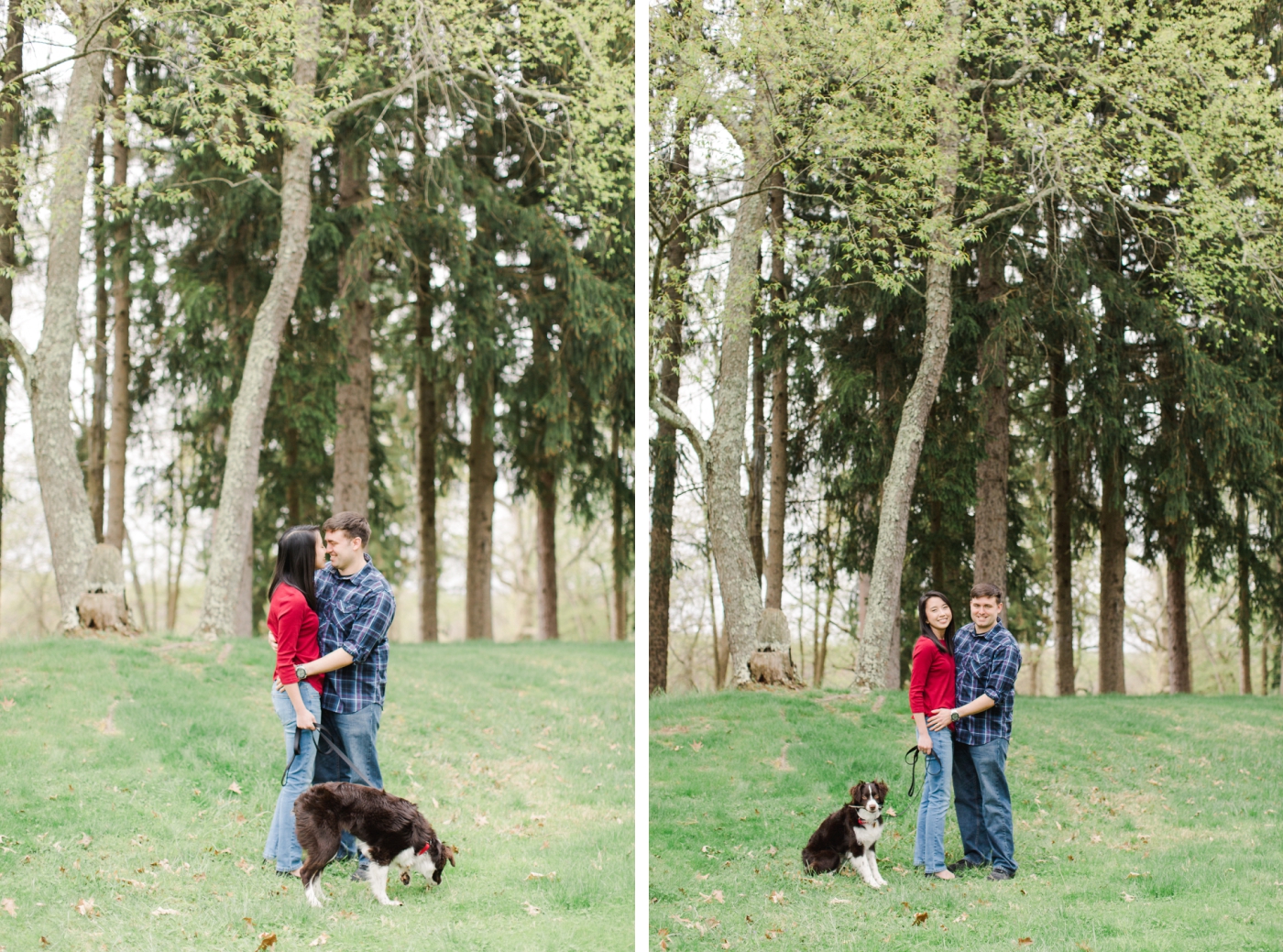 Engagement session poses with a dog