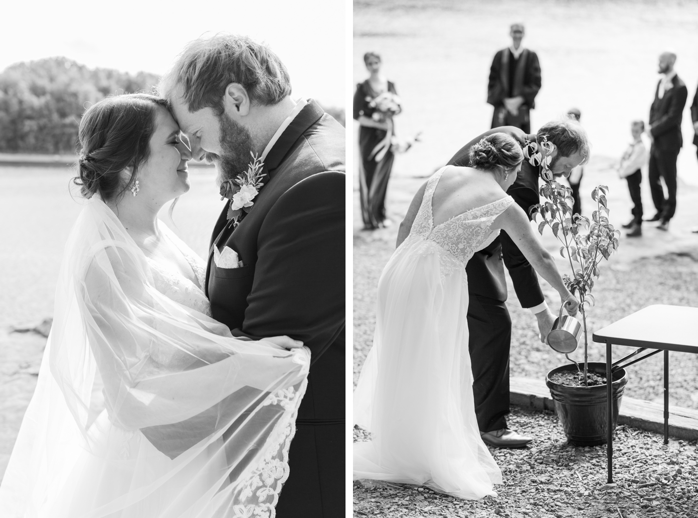 Bride and groom plant ceremony